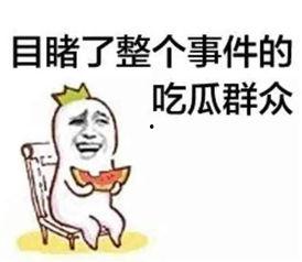 吃瓜群众在七零,吃瓜群众的欢乐时光
